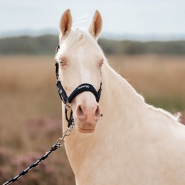 EQPRO SS26 Headворотник комплект Precious