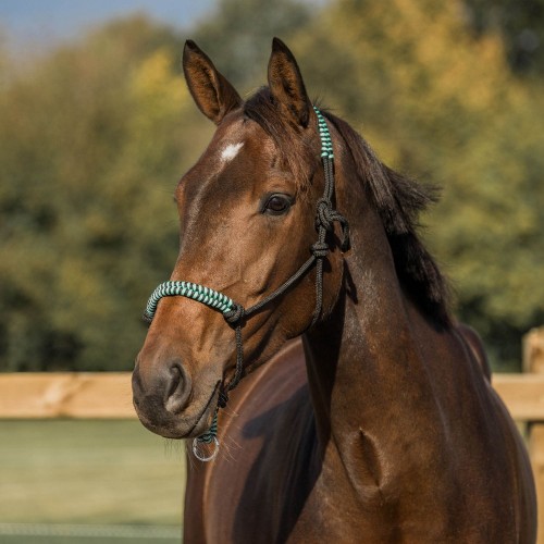 Horka Rope Halter