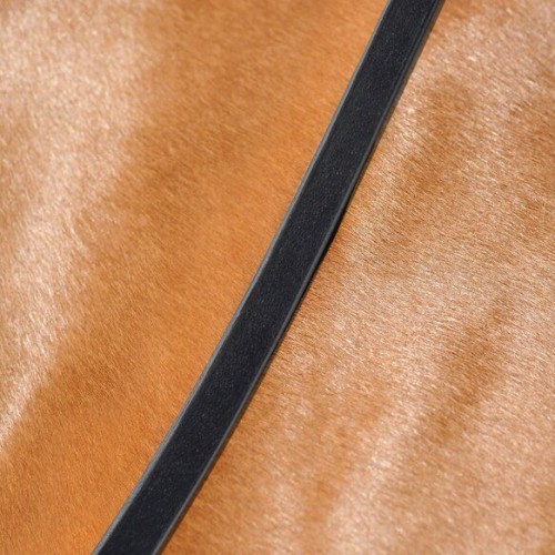 Passion Reins Leather