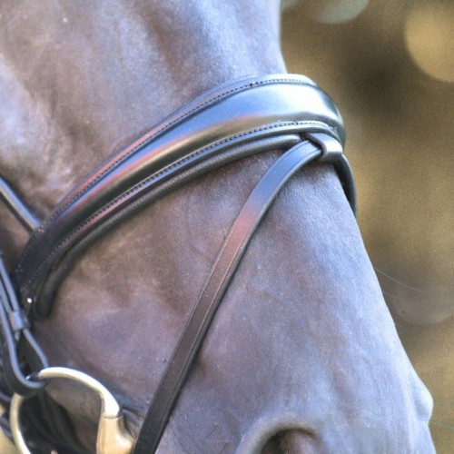 Kavalkade Bridle Florentine