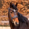 Kavalkade Florissa Glitter Bridle