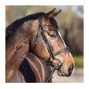 Kavalkade Ivette Bridle