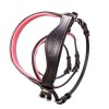 Kavalkade Shetlander Bridle Maja