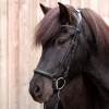 Kavalkade IJslander Freya Bridle