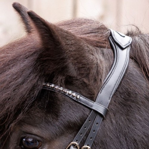Kavalkade IJslander Freya Bridle