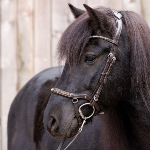 Kavalkade IJslander Jorunn Bridle