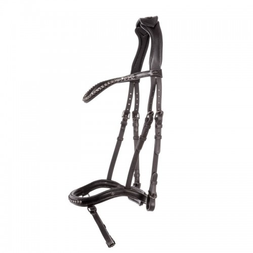 Kavalkade IJslander Jorunn Bridle