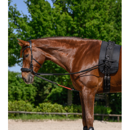 Waldhausen Training Aid W-trainRein