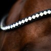 Imperial Riding SS26 Browband IRHMaxima
