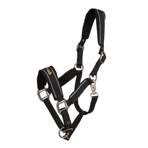 Back on Track Werano Reflective Halter