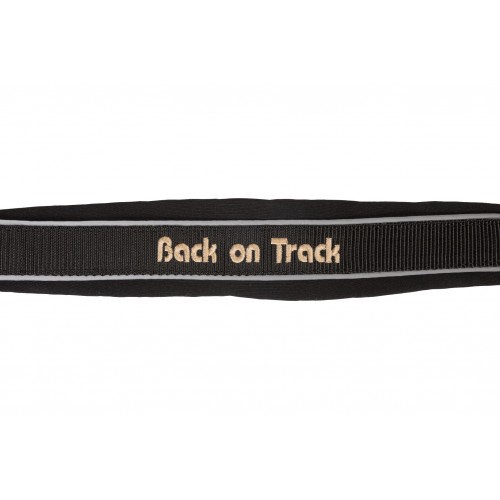 Back on Track Werano Reflective Halter