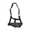 Back on Track Werano Reflective Halter