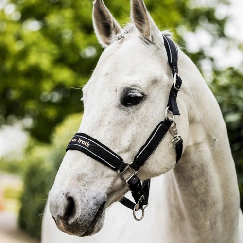Back on Track Werano Reflective Halter