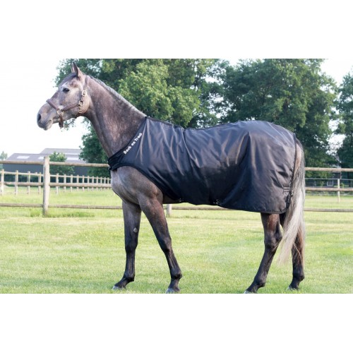 Back on Track Horse Walker Rug Machine