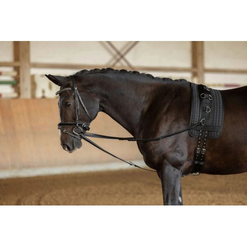 Covalliero Triangle Reins