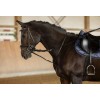 Covalliero Thiedeman reins