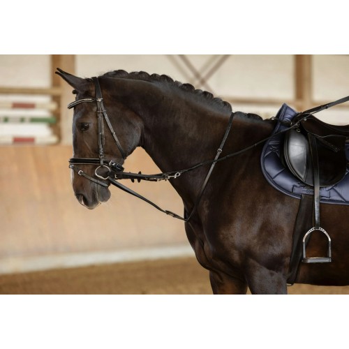 Covalliero Thiedeman reins