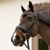 Velari Eggbutt Snaffle Flex Hard 20mm