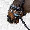 Velari Eggbutt Snaffle Flex Medium 20mm