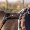 QHP Breastplate Basic pro