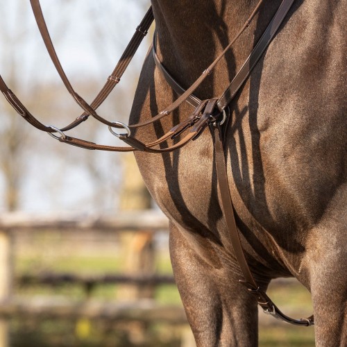 QHP Breastplate Basic pro