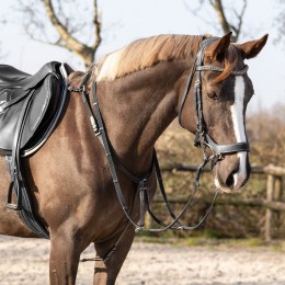 QHP нагрудник Basic pro