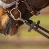 QHP Rein one-sided anti-slip with clip
