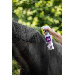 MagicBrush ManeCare Premium пальто Shine Spray OrientalNights