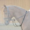 Kavalkade Martingale Ecoline