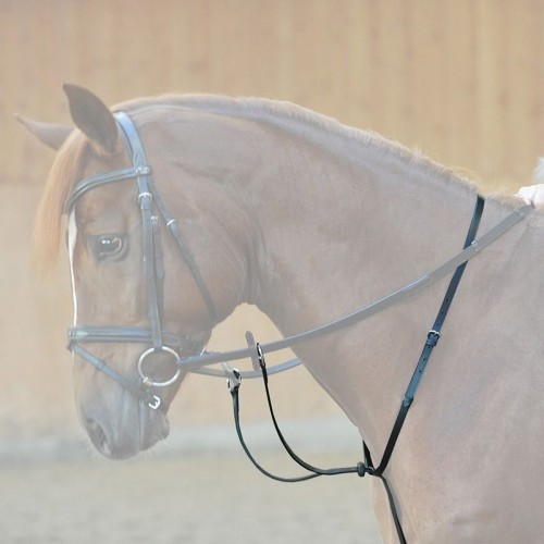 Kavalkade Martingale Ecoline