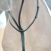 Kavalkade Martingale Ecoline