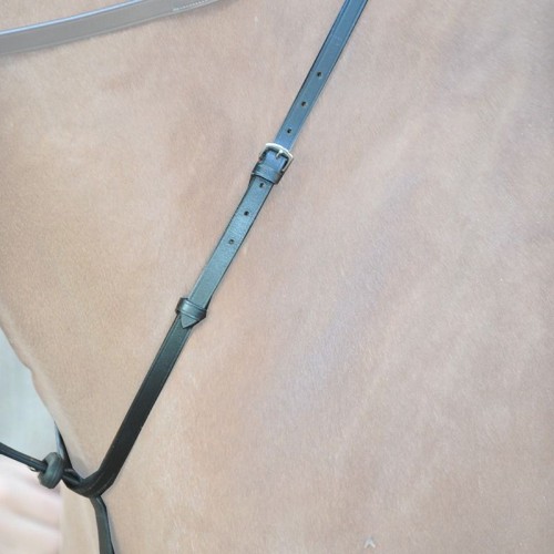 Kavalkade Martingale Ecoline