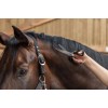 Covalliero Universal and Mane Scissors