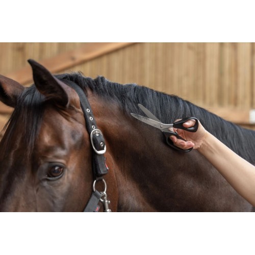 Covalliero Universal and Mane Scissors