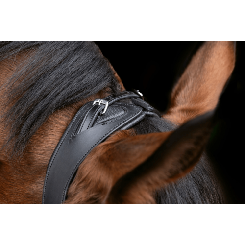 Covalliero Anatomical Bridle