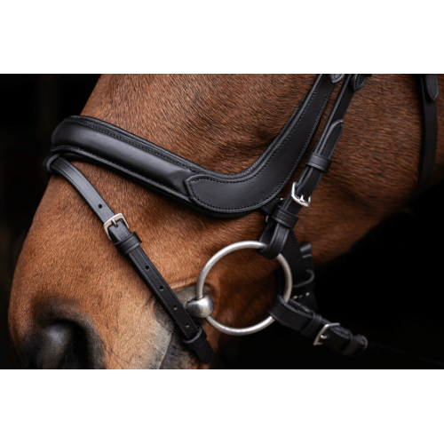 Covalliero Anatomical Bridle