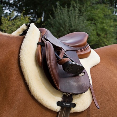 Back on Track Jumping Saddle Pad Teddy