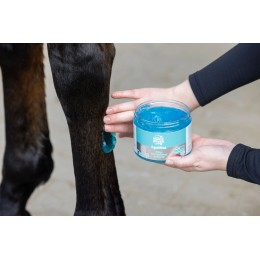 MagicBrush EquiMint Cooling Gel