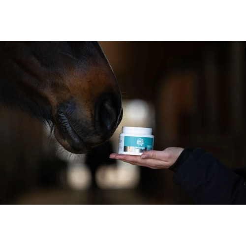 MagicBrush Lucky Lips Lip Balm for Horses - Apple