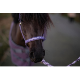 Horseguard недоуздок Malva