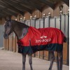 HV Polo Turnout Rug HVP Essential 100 g