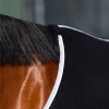 HV Polo Pony Fleece Rug HVPSasha