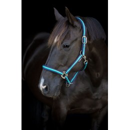 HorseGuard SS26 Striped недоуздок