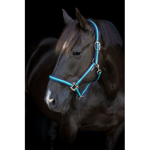 HorseGuard SS26 Striped halter