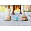 MagicBrush EquiMint Cooling Gel