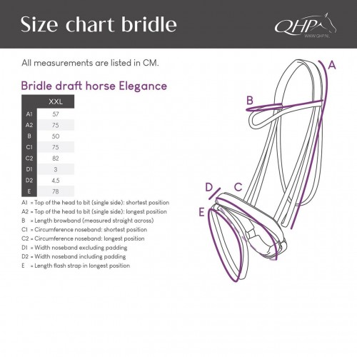 QHP Bridle draft horse Elegance