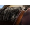 Dyon 5/8" Hunter Reins with 7 Leather Keepers New English Collection