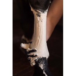 для ухода Deluxe Paper Roll для Clay Treatment из Horse Legs 20m