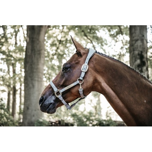 Kentucky Anatomical Suede Halter