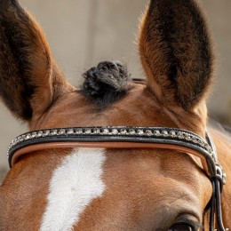 Harry's Horse уздечка чёрный Cognac